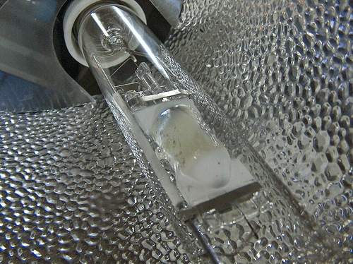 HID lamp